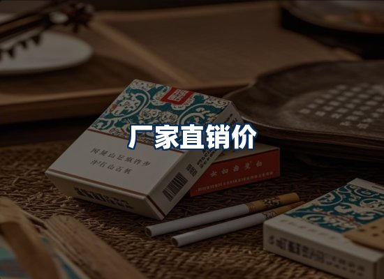 专业团队办公环境